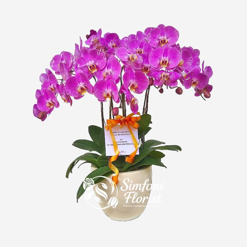Karangan Rangkaian Bunga Anggrek KRBA-04 - Toko Bunga Bandung Simfoni Florist simfoniflorist.com