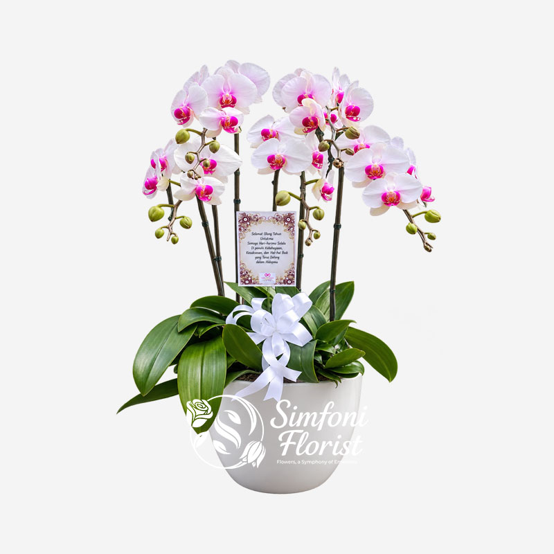Karangan-Rangkaian-Bunga-Anggrek-KRBA-11-Toko-Bunga-Bandung-Simfoni-Florist-simfoniflorist.com