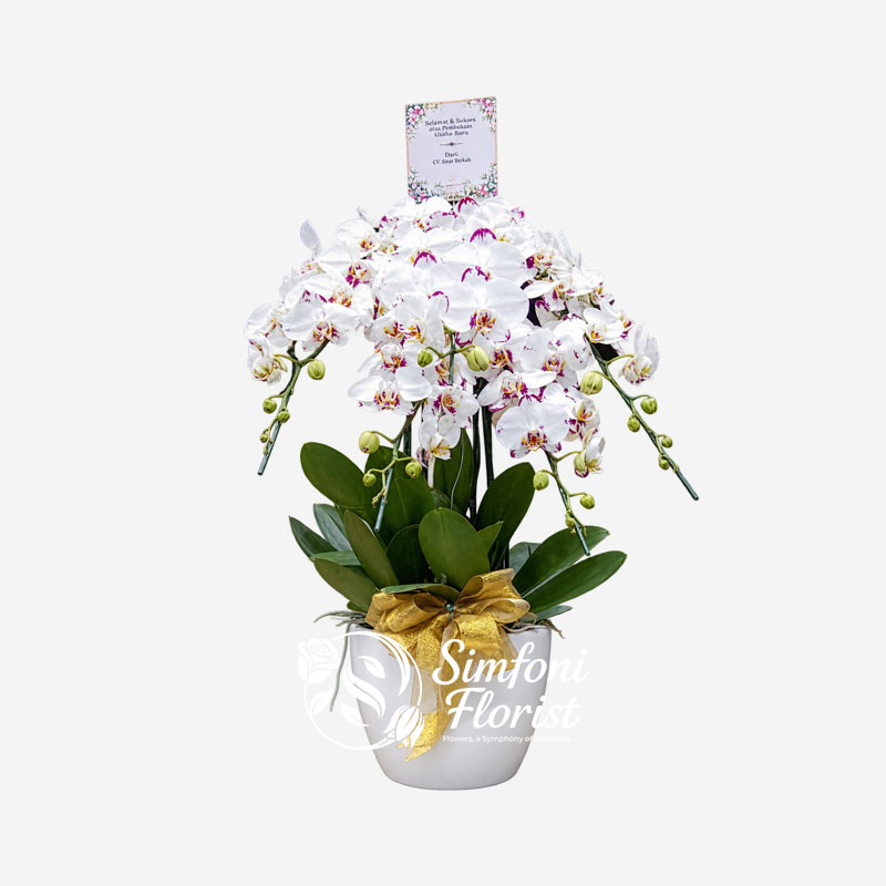 Karangan-Rangkaian-Bunga-Anggrek-KRBA-12-Toko-Bunga-Bandung-Simfoni-Florist-simfoniflorist.com